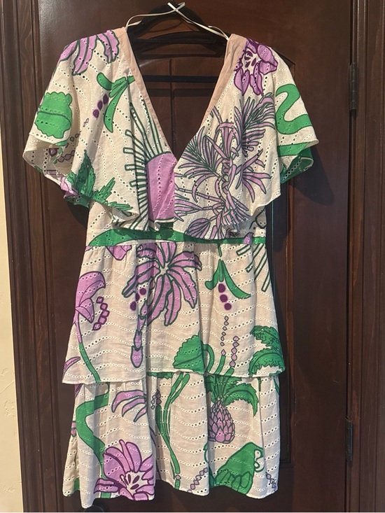 Juan De Dios Dresses & Skirts - Floral Eyelet Mini Dress in Purple & Green